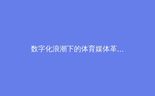 数字化浪潮下的体育媒体革命：从观看到参与的沉浸式体验 - 2
